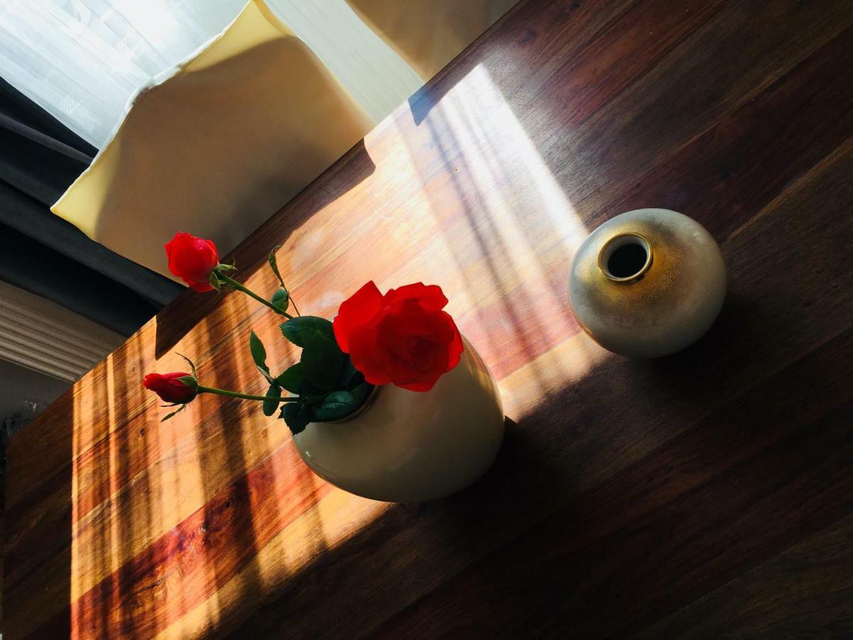 Casa Delia Apartman Szászszentlászló Kültér fotó